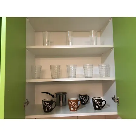 Apartman Frog *